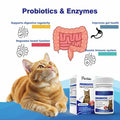 PetriTailor Probiotics for Cats Digestive Enzymes Prebiotics Gut Immune Support by Deal US