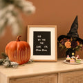 YCNASSS Thanksgiving Starry Night LED Pumpkin Lights Timer Orange Medium by Deal US