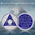 Recovery Triangle 56 Year Sobriety Coin Silver NA AA Medallion by Deal US