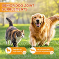 PetriTailor Turmeric Curcumin Dog Supplement Hip & Joint Support 60 Tablets by Deal US
