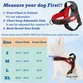 Kumihigh Yellow Dog No Pull Padded Escape Proof Harness XL Vibrant Color by Deal US