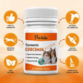 PetriTailor Turmeric Curcumin Dog Supplement Hip & Joint Support 60 Tablets by Deal US