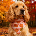 THLOH Fall Dog Bandanas 2 Pack Reversible Pumpkin Leaf Orange Large by Deal US
