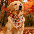THLOH Fall Dog Bandanas 2 Pack Reversible Pumpkin Leaf Orange Large by Deal US