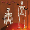 GONOSEED 5PCS 16in Posable Halloween Skeletons Hanging Decor Plastic by Deal US