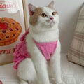 Wiz BBQT Cat Pink Tiered Ruffle Dress Bow Small Dog Clothes Size L by Deal US