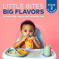 Plum Organics Stage 2 Baby Food Peach Banana Apricot 4oz Pouch Pack of 6 by Deal US