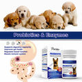 PetriTailor Probiotics Supplement for Dogs Digestive Enzymes Prebiotics by Deal US