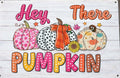 BELLOWDEER Hey There Pumpkin Rustic Wood Hanging Sign Fall Decor 8x10 Inches by Deal US