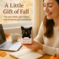Skyists Crochet Black Cat Plush with Happy Fall Y'All Sign 3.74in Orange Black by Deal US