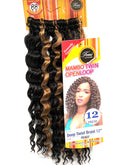 Femi Collection Mambo Twin Open Loop Deep Twist Braid 12 in
