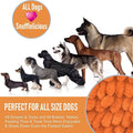 Our K9 Training Made Easy Snuffle Mat by DailySale