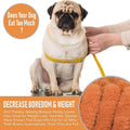 Our K9 Training Made Easy Snuffle Mat by DailySale