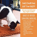 Our K9 Training Made Easy Snuffle Mat by DailySale