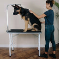 Oxgord 36" Pet Grooming Foldable Table by DailySale