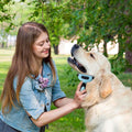 OxGord Blue Combo Pet Grooming Brush by DailySale