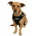 OxGord Cat or Dog Comfort Travel Portable Pet Harness by DailySale