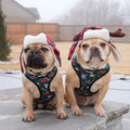 Lumbersnack Reversible Harness by Pawmigo