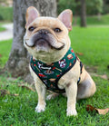 Lumbersnack Reversible Harness by Pawmigo