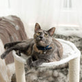 Paws & Pals 3-in-1 Cat Scratching Post with Hammock and Toy by DailySale