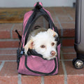 Paws & Pals Airline Approved Soft Sided Pet Carrier by DailySale