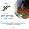 Paws & Pals Bazook - 9 Tennis Ball Launcher Gun with 2 Squeaky Balls by DailySale