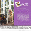 Paws & Pals Dog Calming Treats - Pet Anti Anxiety Supplement by DailySale