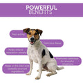Paws & Pals Dog Calming Treats - Pet Anti Anxiety Supplement by DailySale