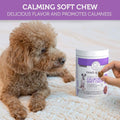 Paws & Pals Dog Calming Treats - Pet Anti Anxiety Supplement by DailySale