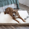 Paws & Pals Orthopedic Pet Bed Foam-Mattress for Dogs and Cats by DailySale