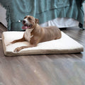 Paws & Pals Orthopedic Pet Bed Foam-Mattress for Dogs and Cats by DailySale