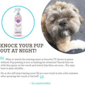 Paws & Pals Pet Natural Calming Spray Cologne or Chews Treat for Dogs and Cats by DailySale