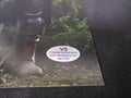 Pedro Pascal Signed The Mandalorian 8x10 Photo, Star Wars (COA) by Price Is Right Miami