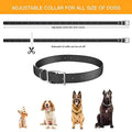 Pet Dog Shock Collar with Remote by DailySale