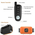 Pet Dog Shock Collar with Remote by DailySale