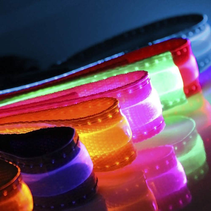 Pet LED Collar by DailySale