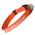 Pet LED Collar by DailySale