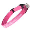 Pet LED Collar by DailySale