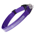 Pet LED Collar by DailySale