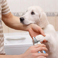Pet Nail Toe Stainless Steel Trimmer with Nail File by DailySale