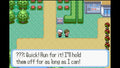 Pokemon Snakewood GBA ROM Hack Video Game Custom Gameboy Advance by VintageVideoGameStore