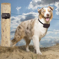 PetZoom Electric Dog Fence In-Ground Fencing System by DailySale