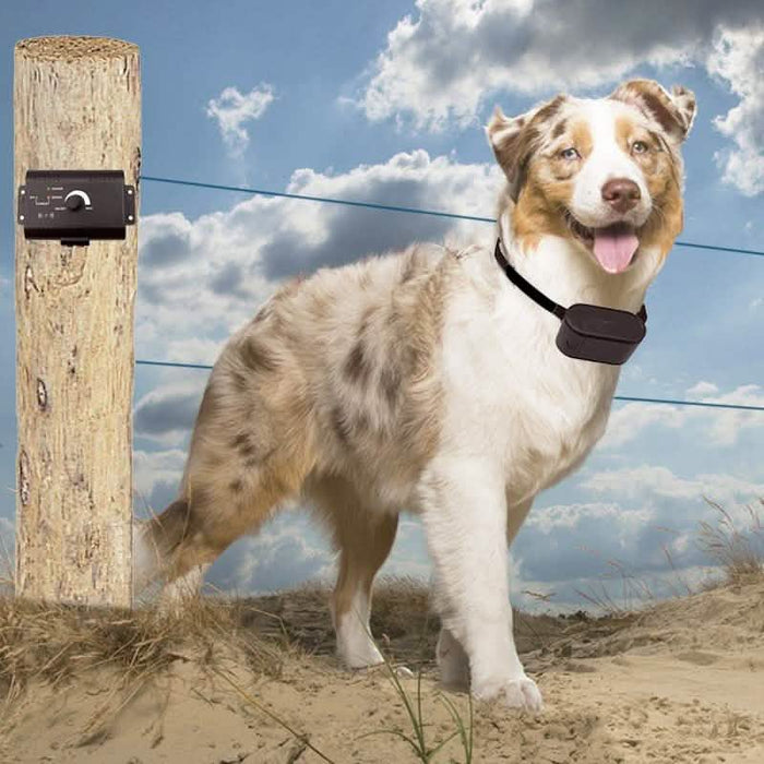 PetZoom Electric Dog Fence In-Ground Fencing System by DailySale