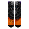 Phoenix Suns - Split Face Mascot