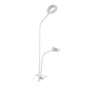 Phone Mount & Ring Light Kit by DailySale