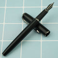 Picasso 916 Ring Fountain Pen by DailySale