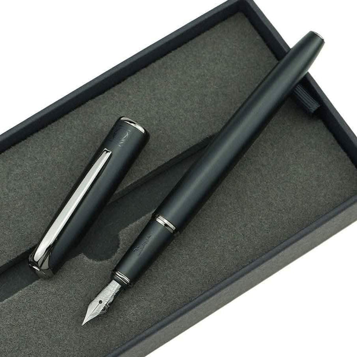 Picasso 916 Ring Fountain Pen by DailySale