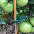 Plant Support Clips for Garden Vine to Grow Upright by DailySale