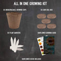 Plant Your Own Garden Grow Kit by DailySale