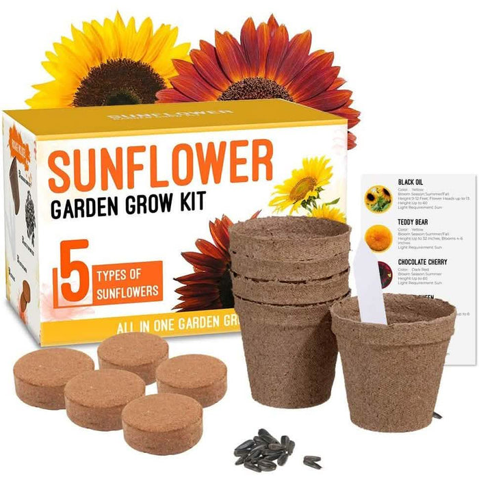 Plant Your Own Garden Grow Kit by DailySale